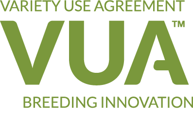 VUA