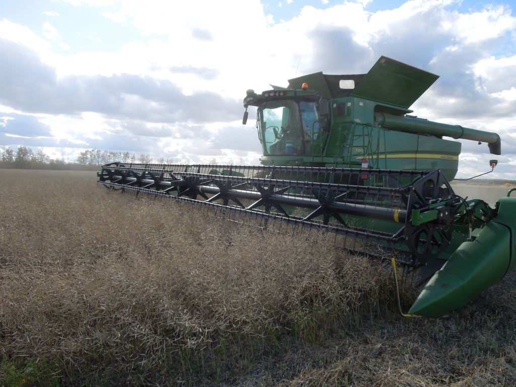 10122014_Straight_Cutting_Canola_in_the_Peace