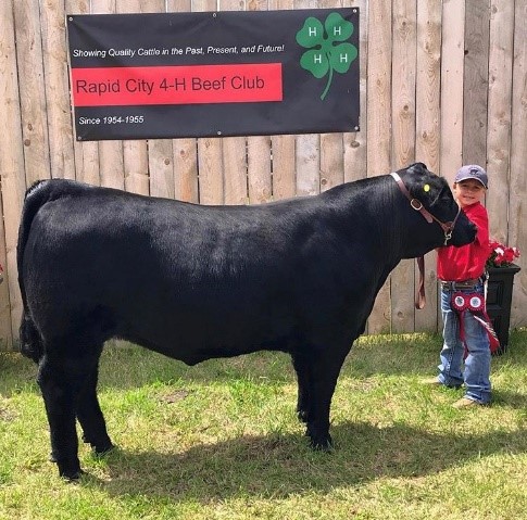 Graycen van Meijl – member of 4H in the Rapid City 4H Beef Club