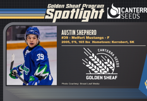 Golden_Sheaf_Austin_Shepherd.png