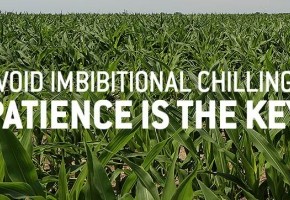 May-2020-corn-Text-min.jpg