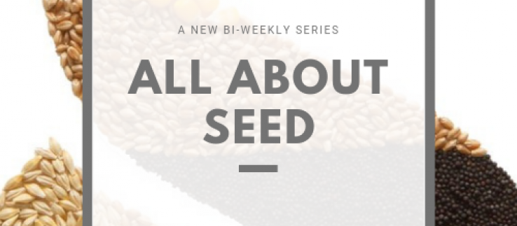 All About Seed #2 - The Importance of Harvest Samples | CANTERRA SEEDS