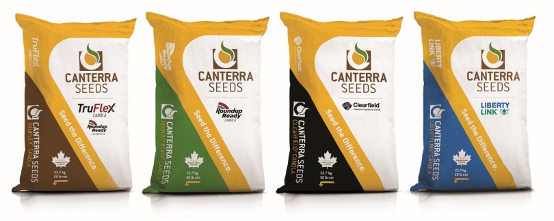 2020 Seed Bag Lineup