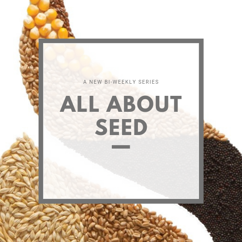 All About Seed Graphic.png