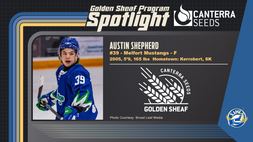 Golden_Sheaf_Austin_Shepherd.png