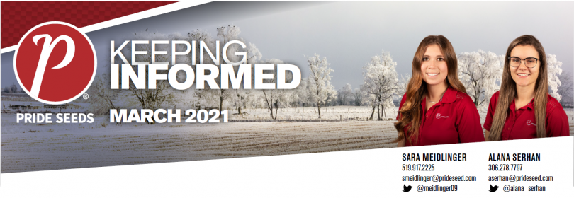 KeepingInformed-March2021.png