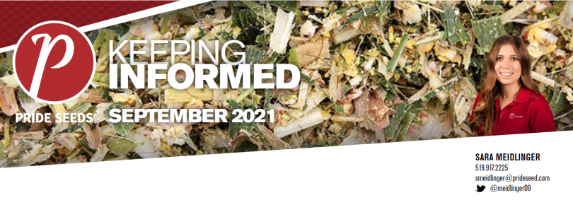 September_2021_-_PRIDE_Newsletter_header.png