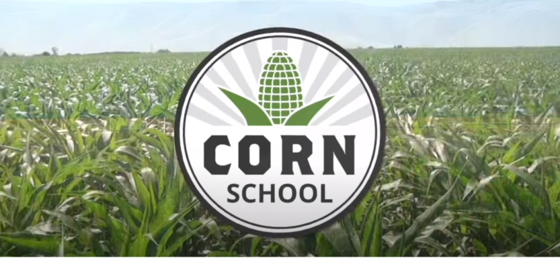 cornschooloct2022.png
