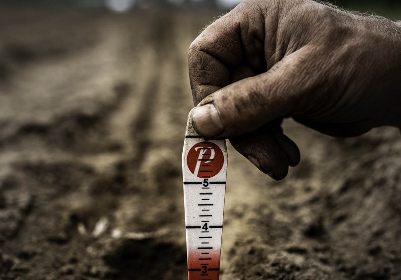 hand_and_seed_gauge-cropped.jpg