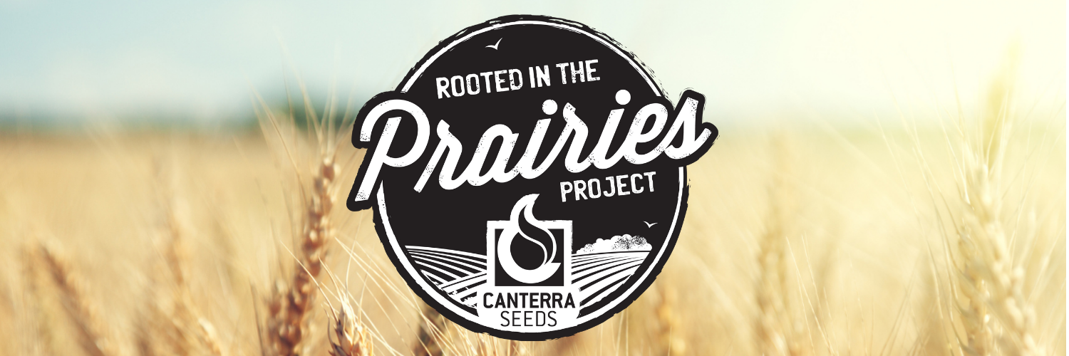 Rooted in the Prairies Project brough to you by CANTERRA SEEDS