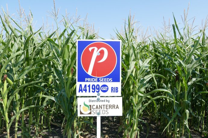 A4199G2.jpg